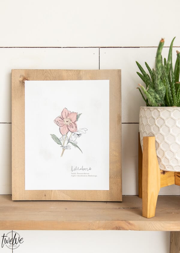 These adorable botanical illustration printables can be yours for FREE! Click here to get access to my printable library and get these in minutes!!