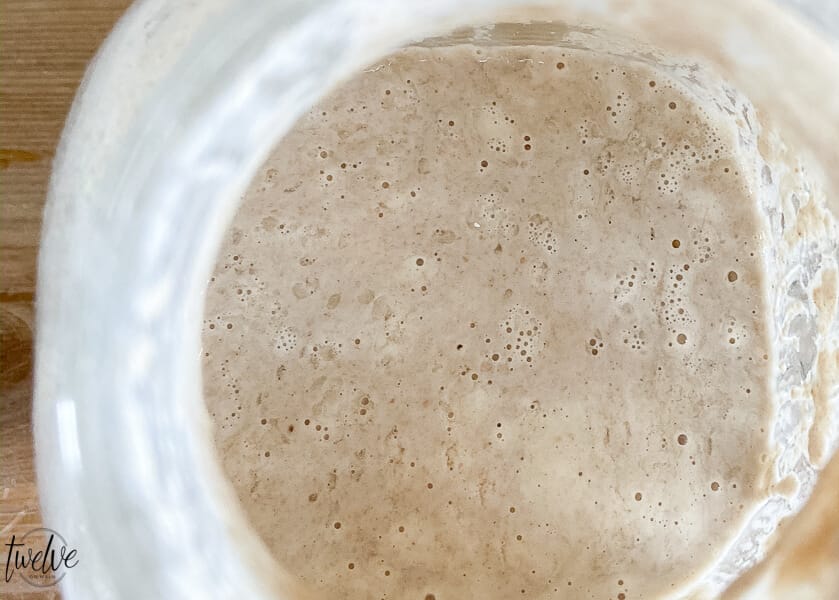 Sourdough starter bubbling up after a couple days on the counter.