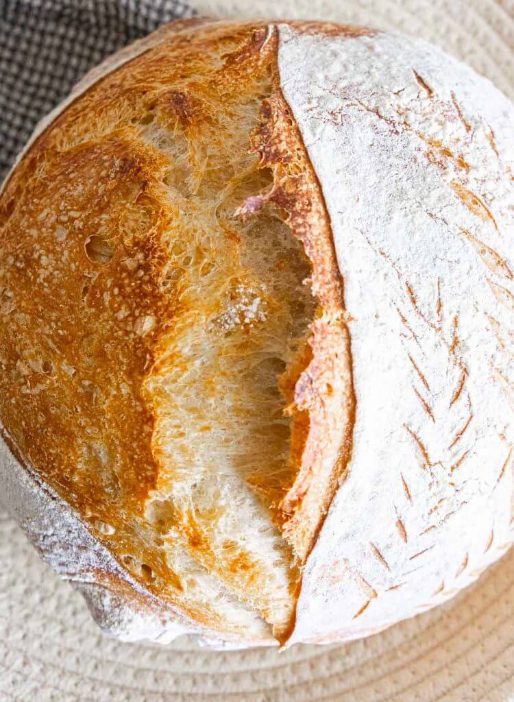 Baking Sourdough Bread In a Dutch Oven: Full guide – The Bread Guide: The  ultimate source for home bread baking
