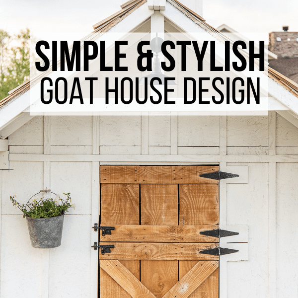 Simple and Stylish Goat House Design With Building Plans!