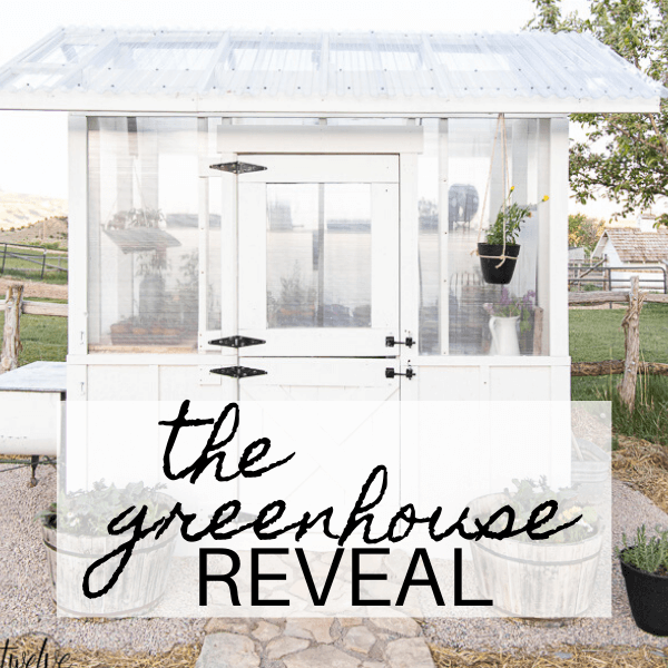 Our DIY Greenhouse Design and Reveal