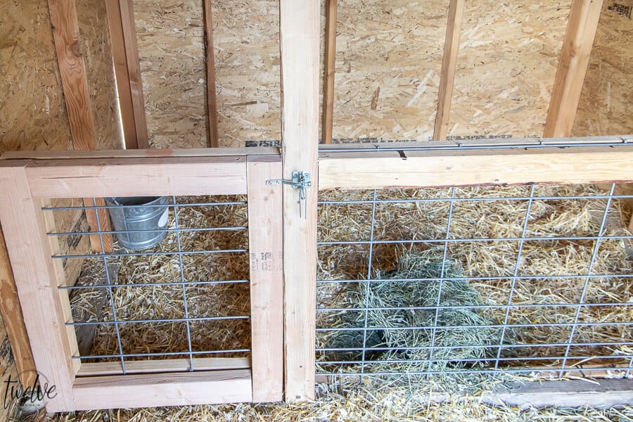 Inside of a goat shed, a separated pen for birthing and separating goats.