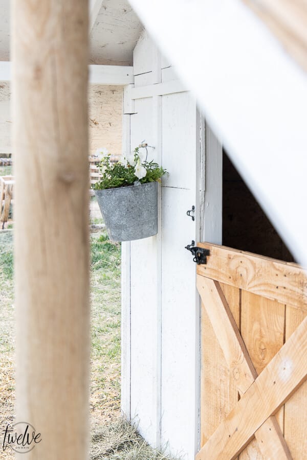 Check out this amazing simple and stylish white and rustic goat house!  Looking for goat shed ideas? We combined function, along with a rustic dutch door, a stylish solar light, rustic shake roof, white board and batten, and so much more to create a simple but stylish goat house!