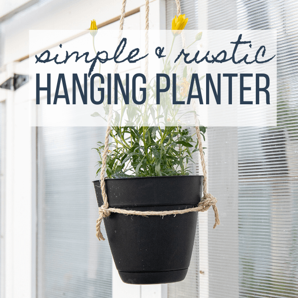 Super Easy DIY Hanging Planter