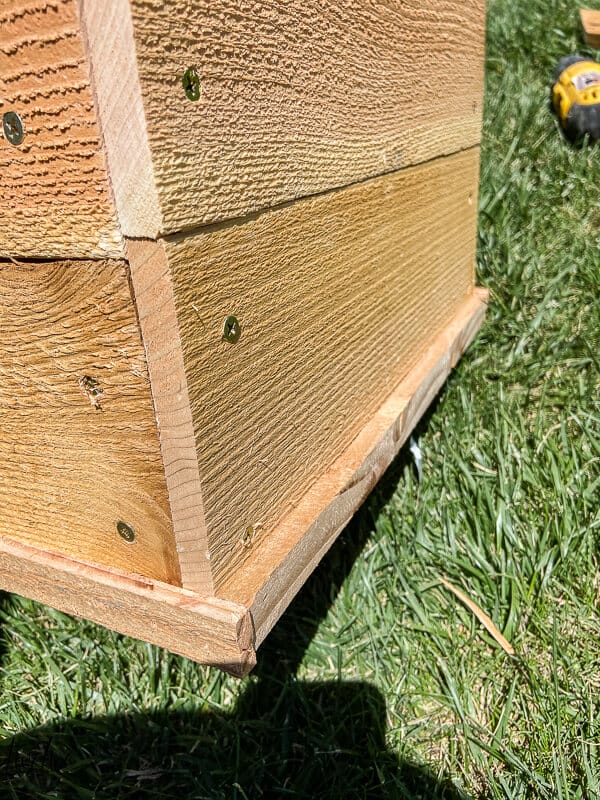 How to build inexpensive cedar planter boxes using cedar fence pickets.