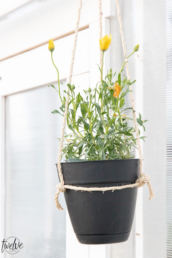 How to make the easiest DIY hanging planter that is perfectly rustic and simple!