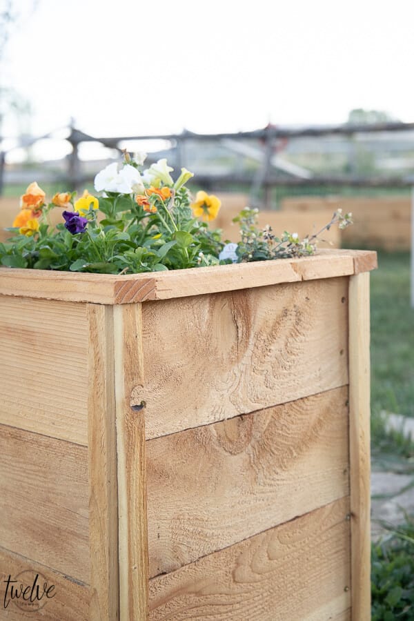 How to make super easy, inexpensive and cute cedar planter boxes to plant flowers, herbs, or evergreen plants. These are so easy, I did them all by myself!