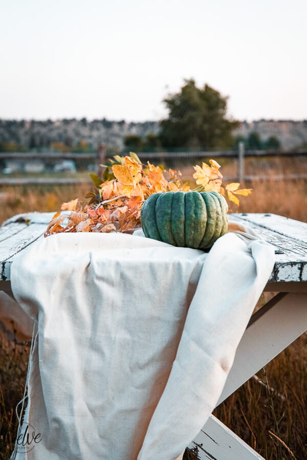 Outdoor fall dining ideas