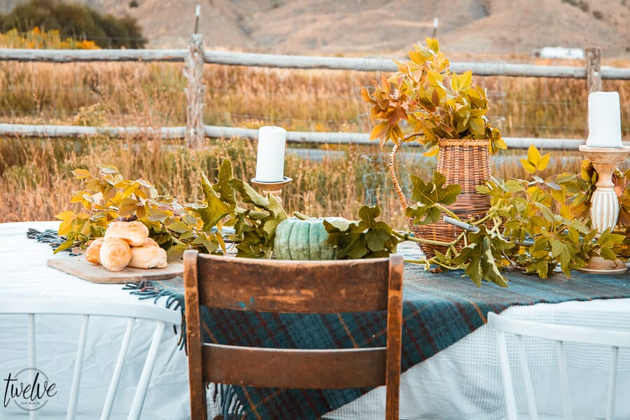 Outdoor fall entertaining, with simple fall table decor, set outside with a tall grass field as a backdrop.