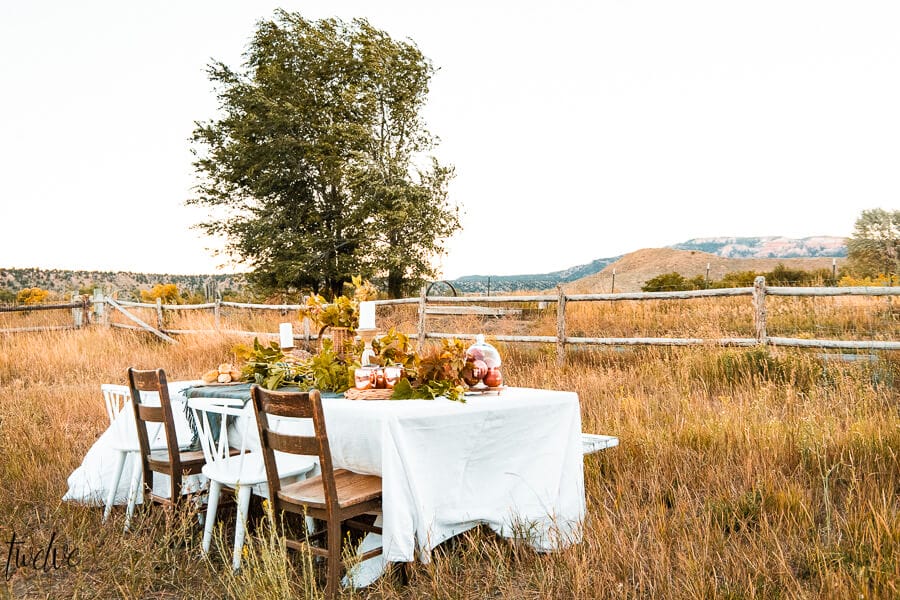 Simple fall table decor perfect for outdoors or indoors. Set back in a tall grass field. Using the area around you as the decor is the key.