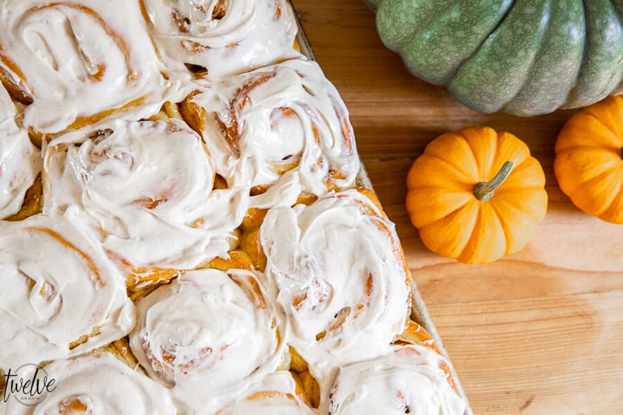 Pumpkin cinnamon rolls with a spicy cinnamon cream cheese frosting. These are the perfect fall treat!