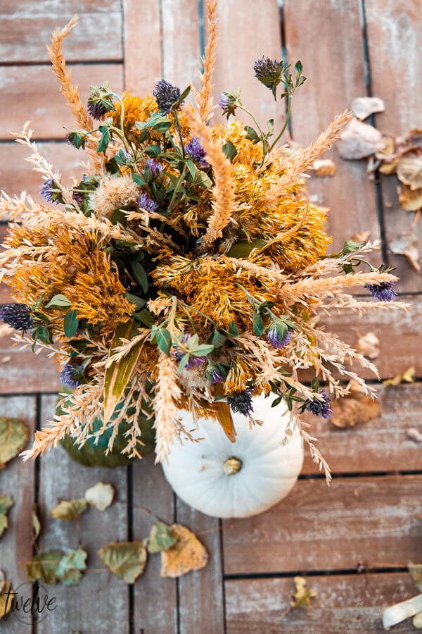 How to create a simple fall floral arrangement with items from your own backyard! Its amazing what you can create for free!
