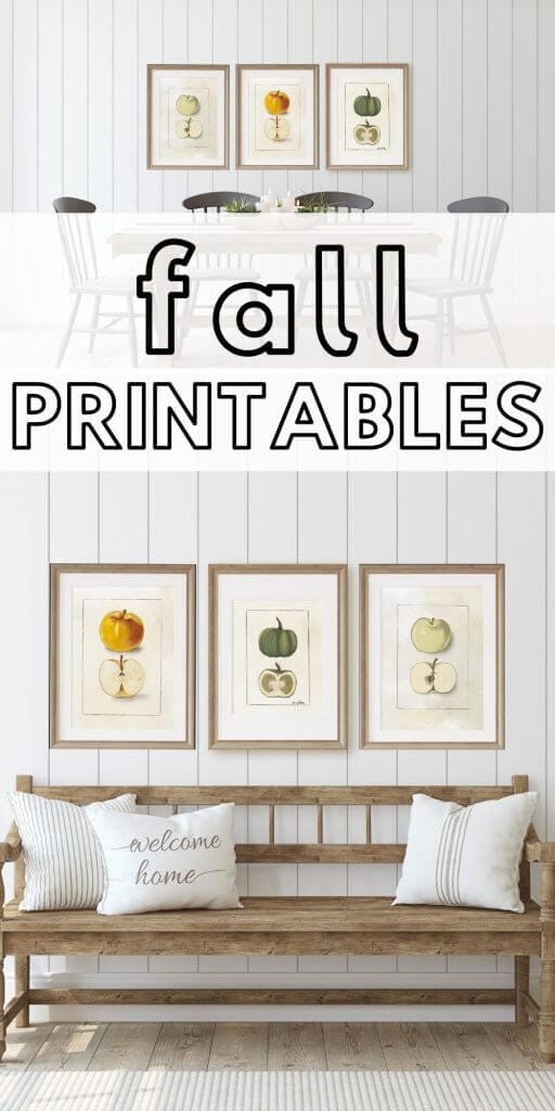 Get these great hand drawn fall printables for free!  There are two apple illustrations, as well as one pumpkin illustration. These are similar to botanical illustrations with a fall flare and hand drawn style.