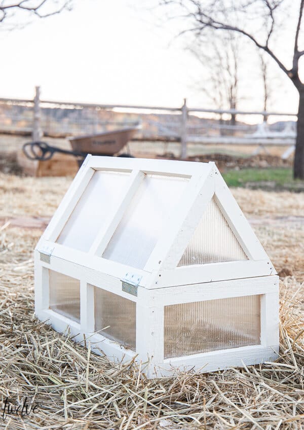 How to make a simple and functional mini greenhouse to use in the garden to protect your plants against frost and add a bit of style too!