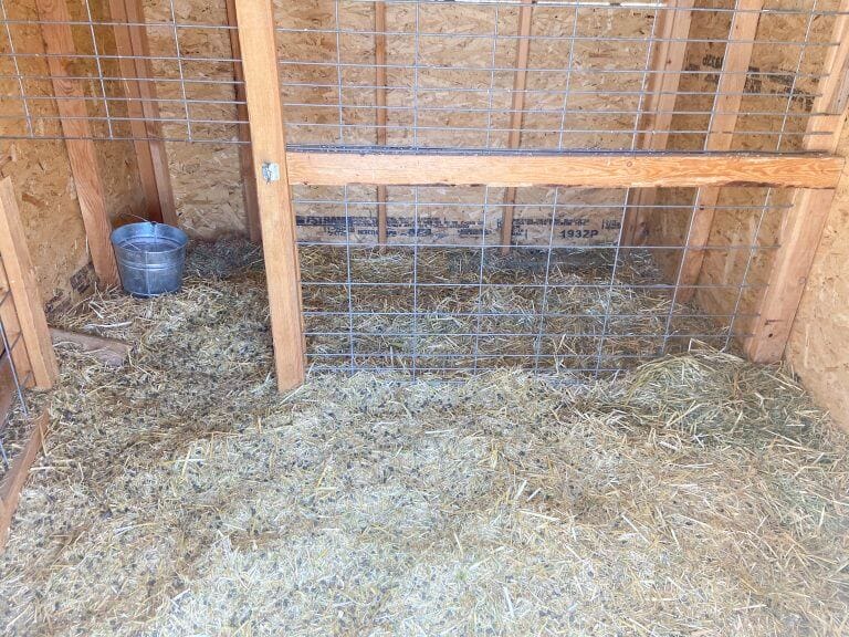 How We Use the Deep Litter Method with Our Goats and Chickens To Keep Them Warm