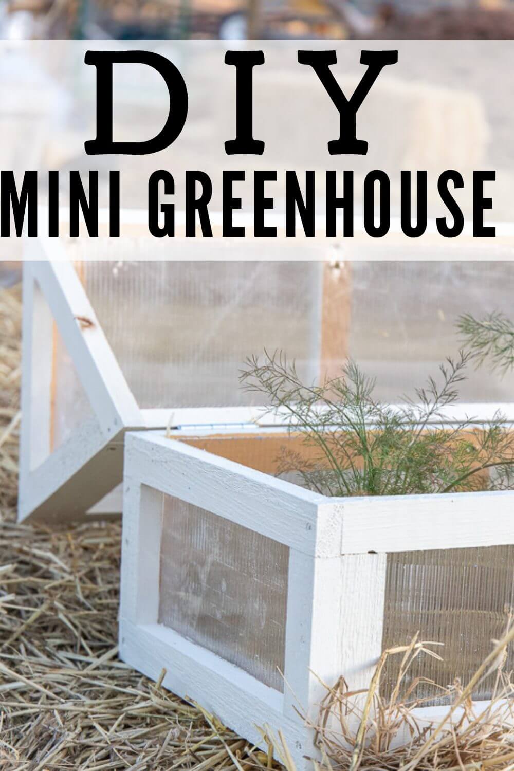 How to make a super cute DIY mini greenhouse to use in your garden, planter boxes and even on your patio to protect those fragile plants from frost and unpredictable weather.