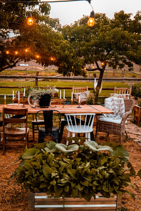 24 outdoor dining and entertaining tips for your backyard. Create a space perfect for your outdoor dining and entertaining needs.