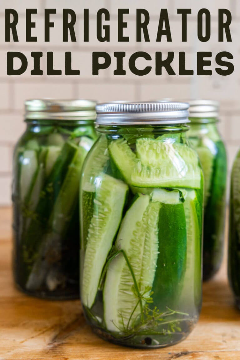 Easy Homemade Refrigerator Dill Pickles Twelve On Main   Copy Of How To Make A Twig Wreath For Fall 4 768x1152 