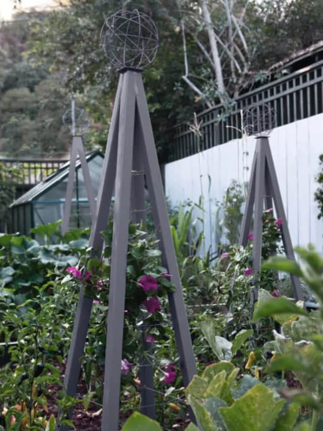 Gorgeous Garden Obelisk Trellis Ideas
