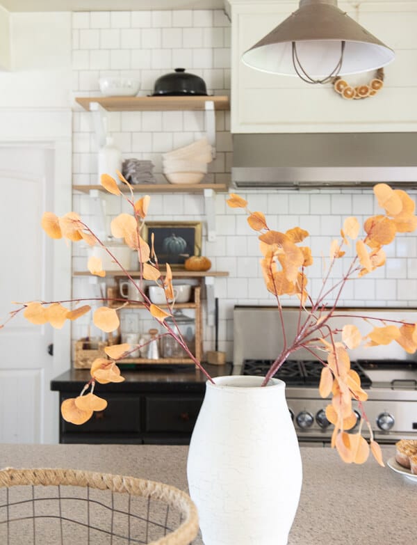 Gorgeous fall kitchen decor that is easy to add, affordable and looks amazing.  It doesn't have to cost a lot to add fall to your kitchen.