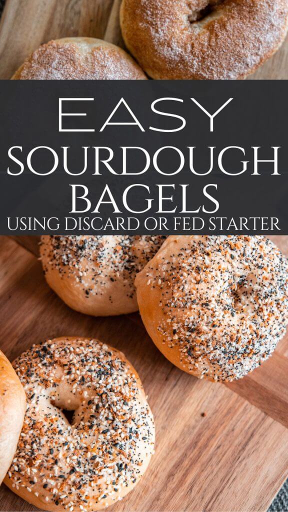 Ready to make these amazingly easy sourdough bagels? You can use a fed sourdough starter for true sourdough bagels or use your discard along with yeast to make quick and easy bagels.