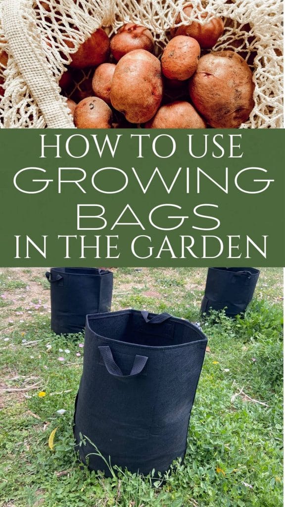 How to Garden in Grow Bags for Potatoes, Carrots and More - Twelve On Main