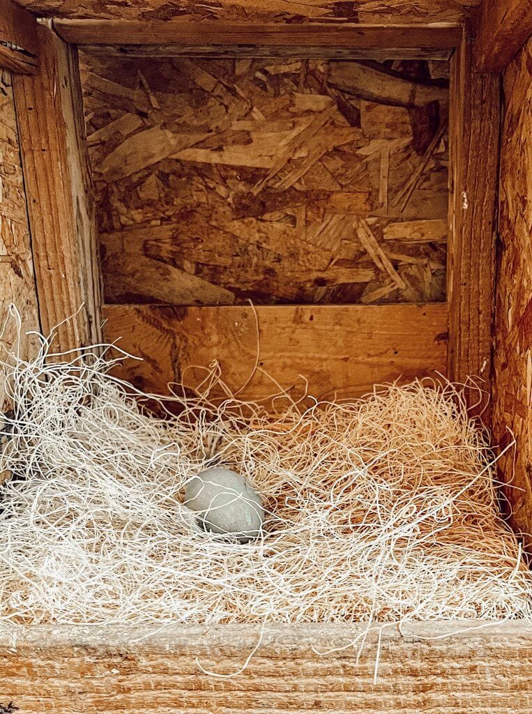 The best chicken nesting box fillers that will protect your eggs, keep your nesting boxes clean, and prevent loss of filler material.