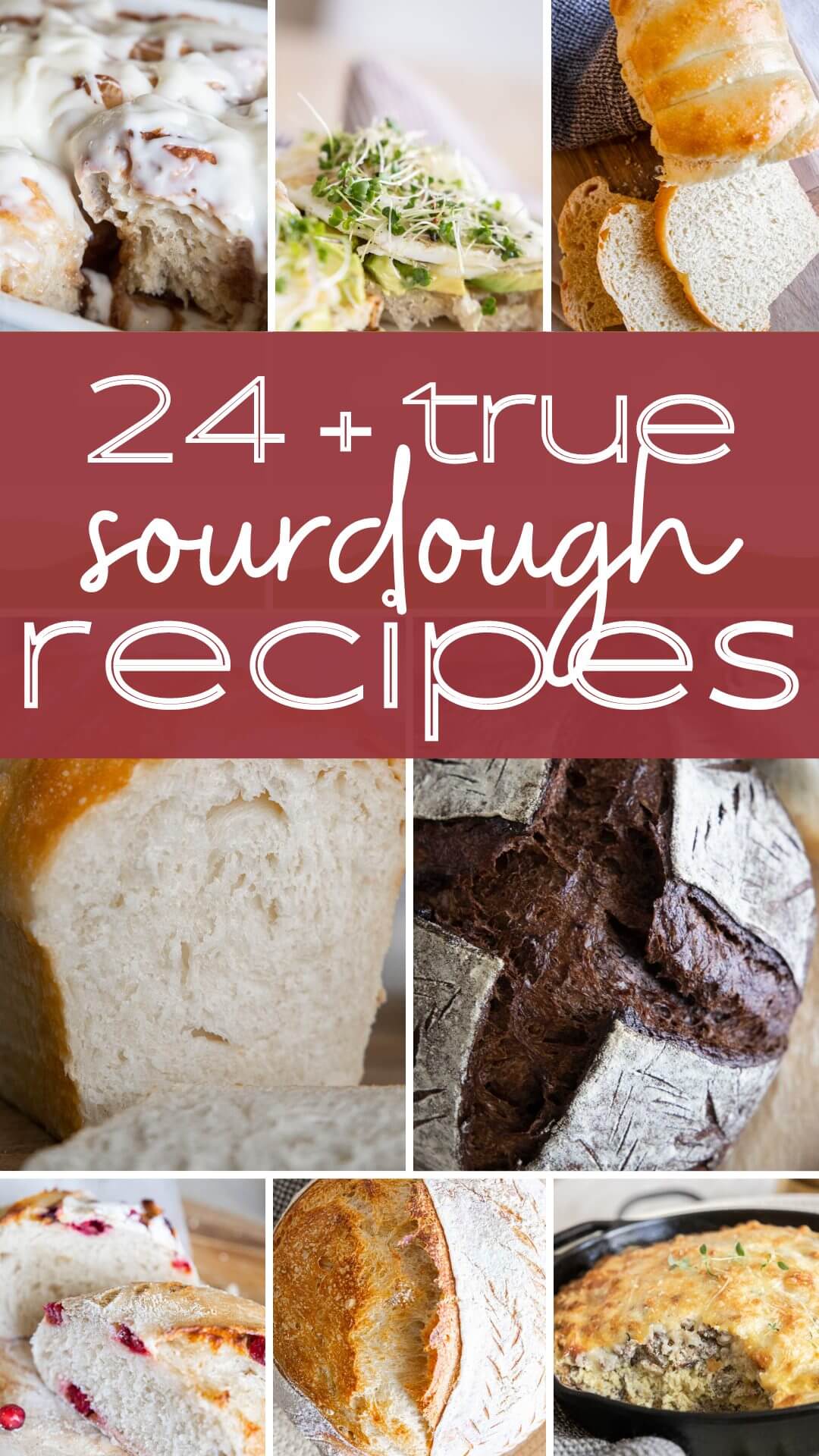 24 amazing sourdough recipes perfect for beginners and seasoned sourdough bakers! These are all great recipes to add to your collection.