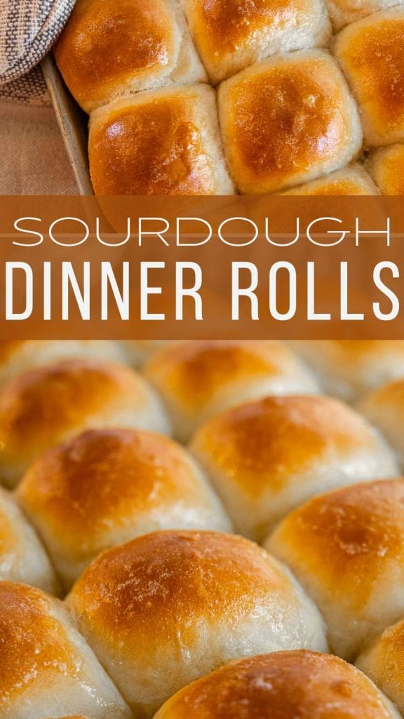 Easy Soft Sourdough Discard Dinner Rolls - Twelve On Main