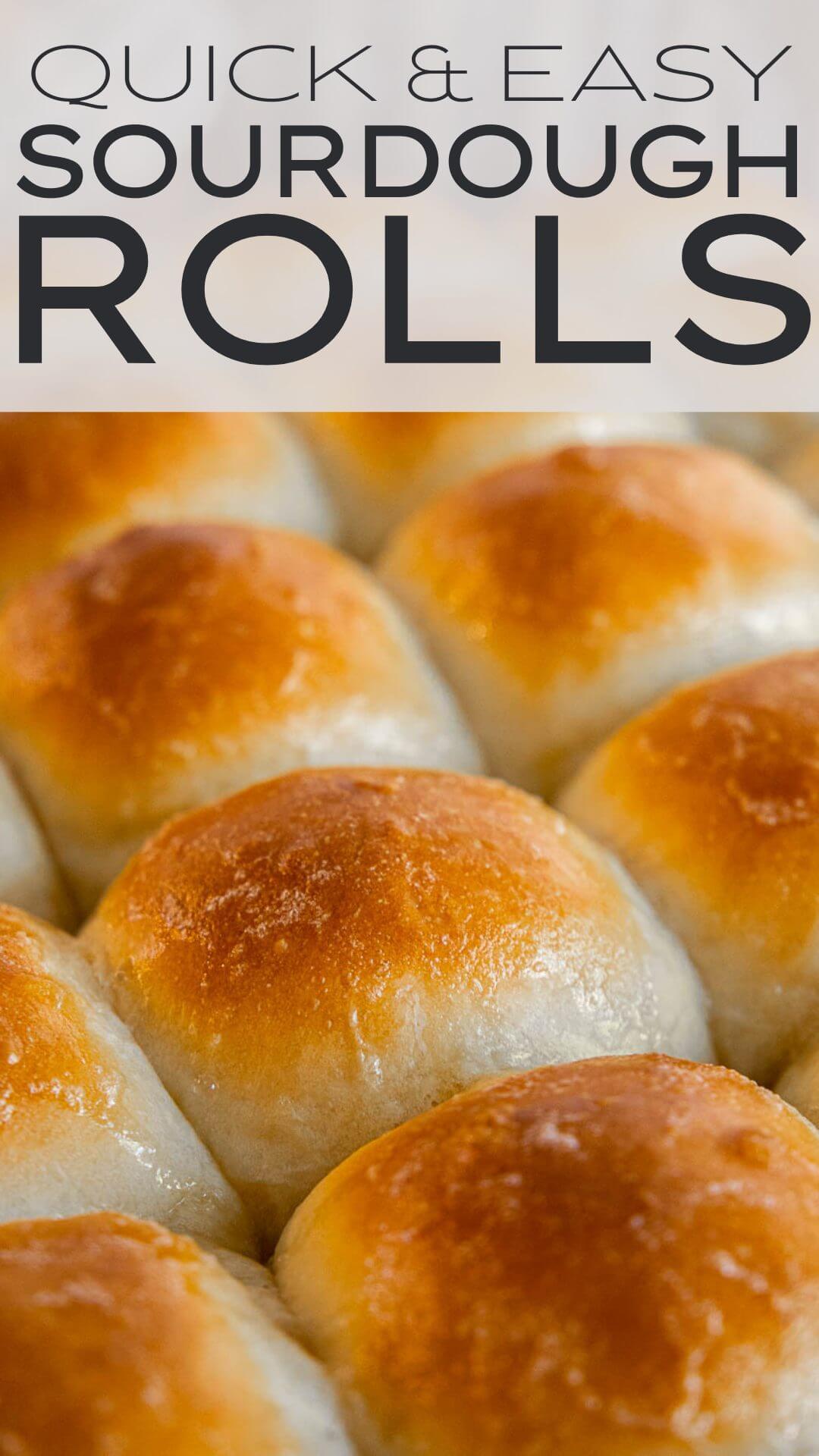 Sourdough Dinner Rolls - Country at Heart Recipes