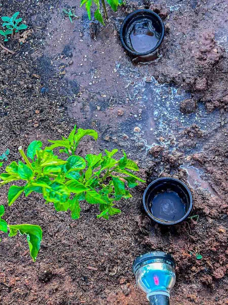 This simple hack will save you time and money when you are struggling to water your plants. How to water plants in a raised garden bed.