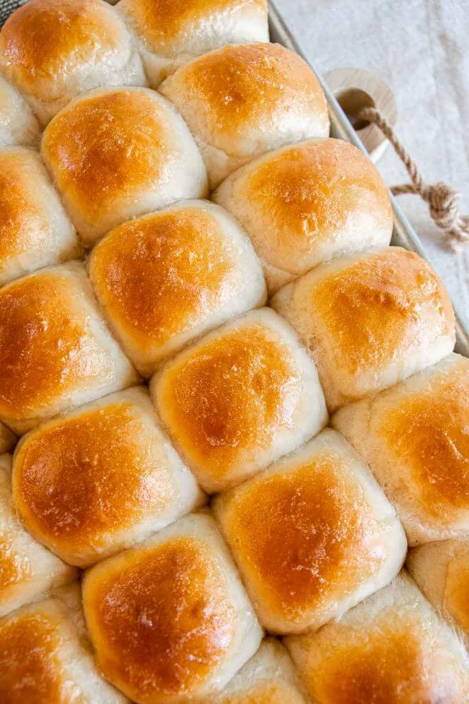 Make these easy sourdough discard dinner rolls on no time. These soft sourdough dinner rolls are easy and only take 1-2 hours to make!