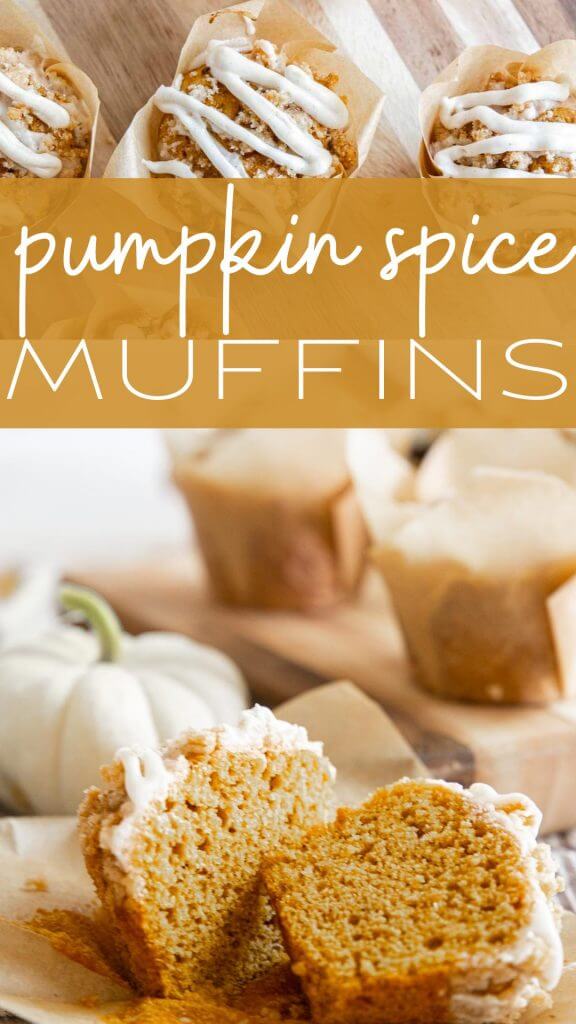 Easy Pumpkin Muffins With Streusel Topping Twelve On Main   2 11 576x1024 