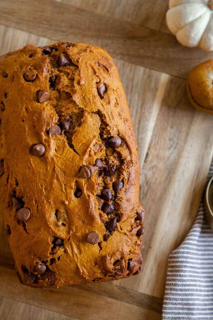 How to make easy pumpkin bread with chocolate chips. This is a decadent fall treat perfect for a get together or to gift someone!