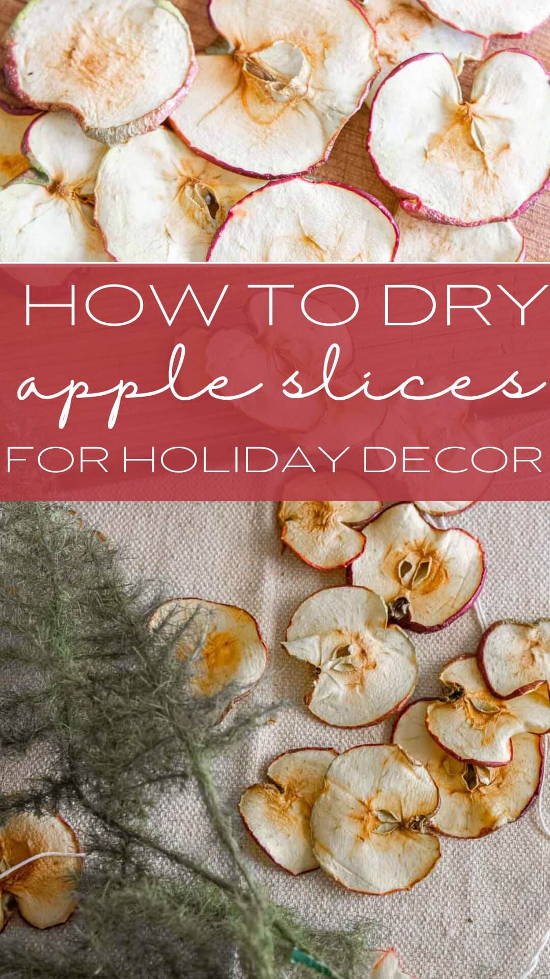 How to dry apple slices for decoration. Use them to make holiday garland, Christmas ornaments, a festive wreath and so much more!