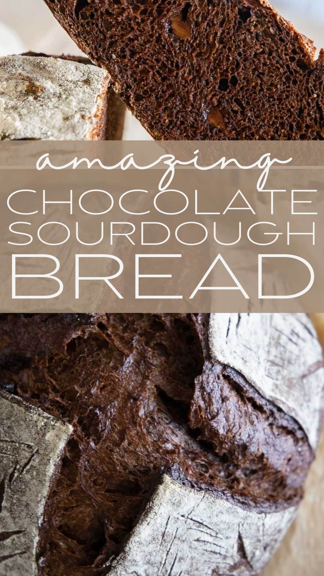 Make this amazing sourdough chocolate bread with step by step instructions. It tastes amazing and the perfect chocolate treat.