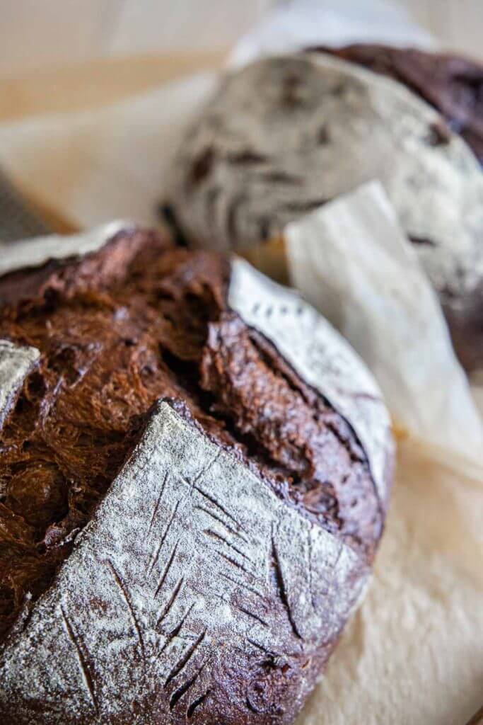 Make this amazing sourdough chocolate bread with step by step instructions. It tastes amazing and the perfect chocolate treat.