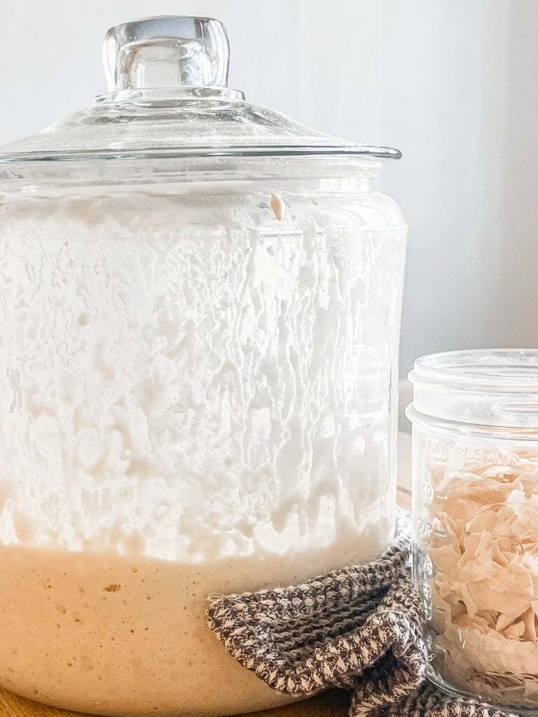 How to Store Sourdough Starter for Future Use ( 4 methods)