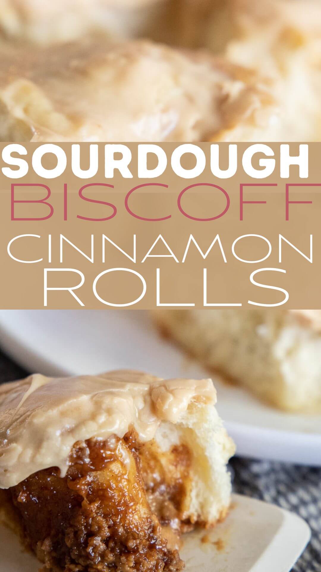 Make these amazing sourdough discard Biscoff dessert rolls! They are soft and fluffy. The cookie butter filling is perfection.