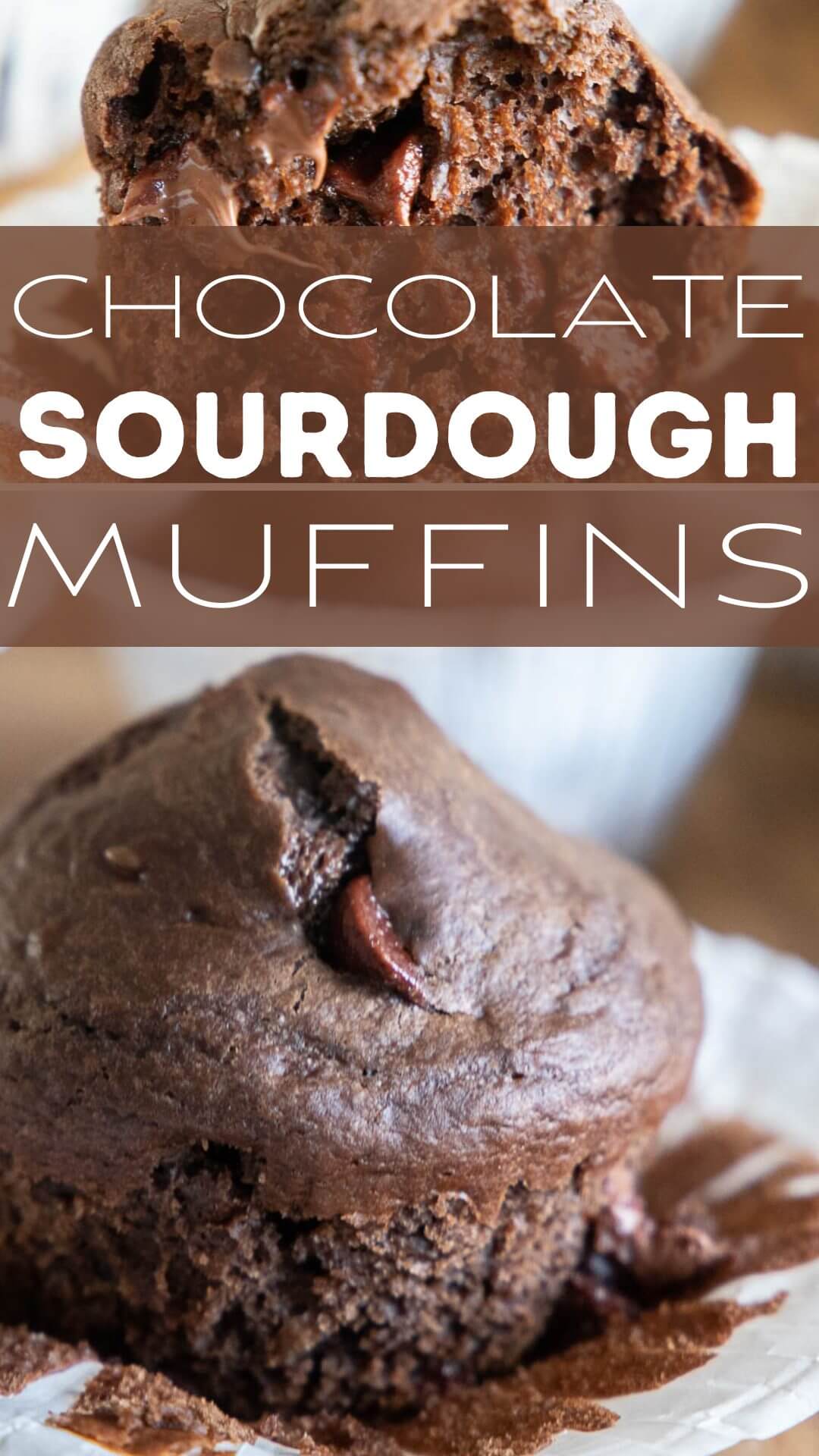 Make these easy sourdough discard chocolate muffins with chocolate chips! These are soft and tender with an amazing chocolate flavor! The hint of sourdough makes these even better! Use that sourdough discard on something delicious!