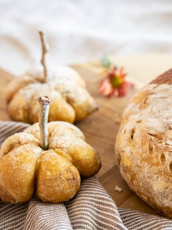 This is an amazing fall treat! This is a fun take on regular dutch oven sourdough bread, but with all the pumpkin spice flavors! Enjoy this bread a french bread, toasted with butter or even with a sweet honey butter!