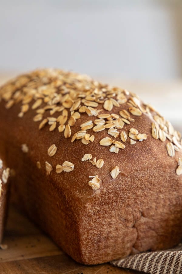 This sourdough molasses bread is soft and so flavorful. It reminds me of the brown pumpernickel bread from The Cheesecake Factory. This is so much like pumpernickel bread but without the rye flour.