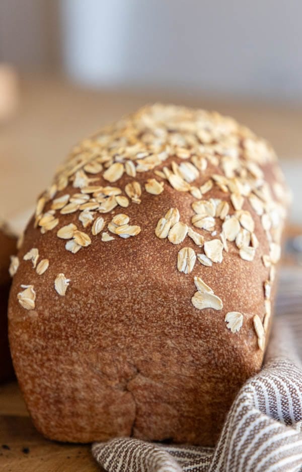 This sourdough molasses bread is soft and so flavorful. It reminds me of the brown pumpernickel bread from The Cheesecake Factory. This is so much like pumpernickel bread but without the rye flour.